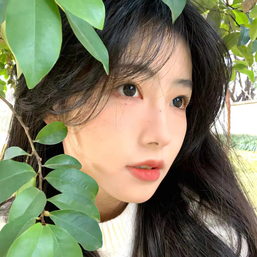 爱在遗忘蔓延时