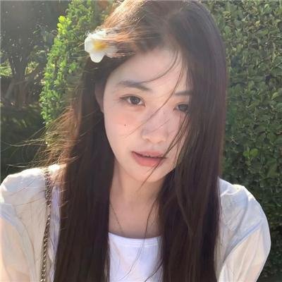 洪拳小子